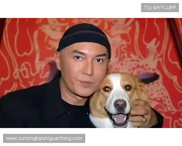 尊龙这个平台的用户评价及综合体验分析 尊龙这个平台的用户评价及综合体验分析