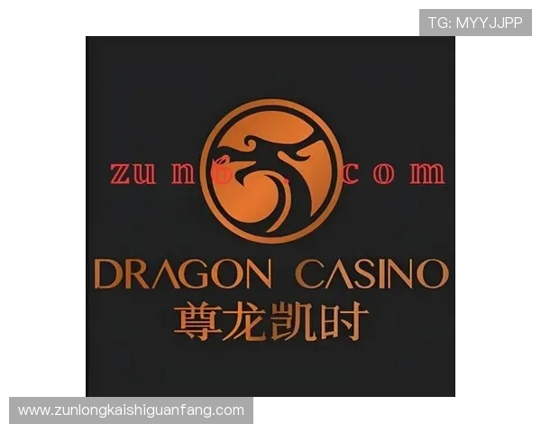 找到尊龙凯时地址登录入口的最佳方法与技巧