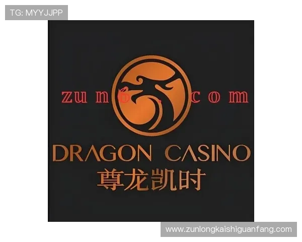 尊龙时凯中国官网品牌历史与发展背景介绍