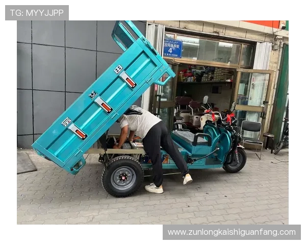 尊龙app手机版下载官网官方最新版本下载安装流程详解，助你轻松开启尊龙游戏之旅