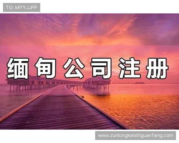 尊龙凯时注册登录入口全流程指南帮助玩家轻松开启游戏体验