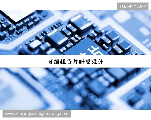 深度解析尊龙凯时网址官方网站的安全性与可靠性