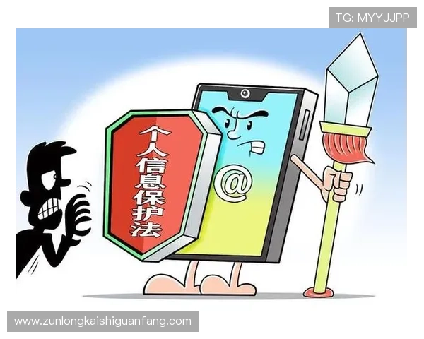 解密尊龙平台app的安全性与隐私保护措施