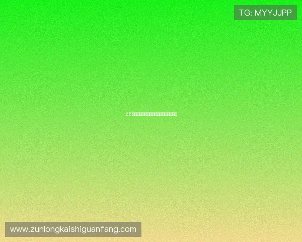 Z6备用会员的使用期限与升级方案详细介绍